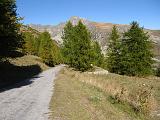 Via del Sale - Alpi Marittime - 130